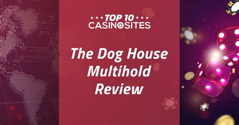The Dog House Multihold Review 2024